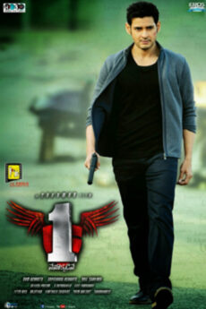 1 – Nenokkadine