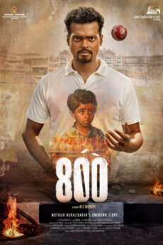800