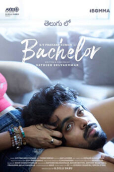 Bachelor