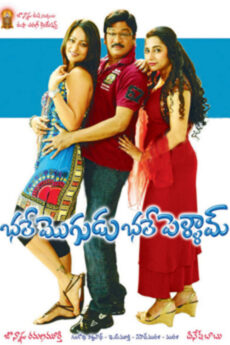 Bhale Mogudu Bhale Pellam