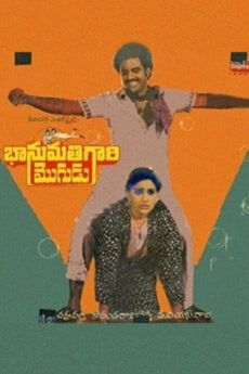Bhanumathi Gari Mogudu