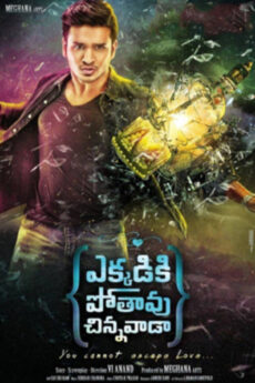 Ekkadiki Pothavu Chinnavada