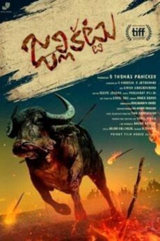 Jallikattu
