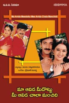 Maa Aavida Meeda Vottu Mee Aavida Chala Manchidi