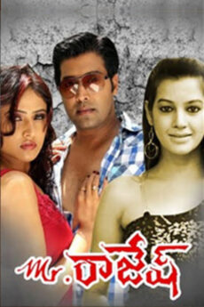 Mr. Rajesh