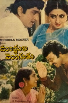 Muddula Mogudu