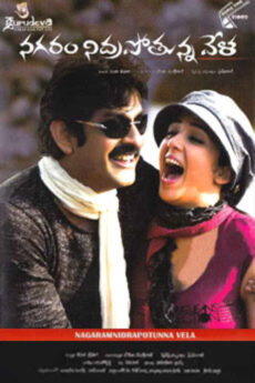 Nagaram Nidrapothuna Vela