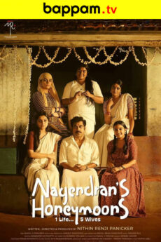 Nagendrans Honeymoons