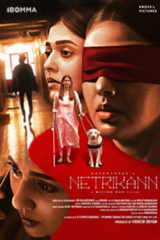 Netrikann