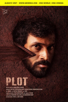 Plot