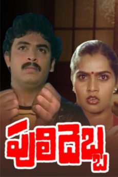Puli Debba