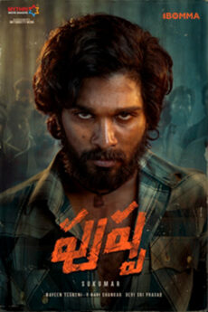 Pushpa: The Rise