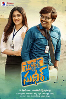 Software Sudheer