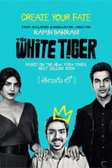 The White Tiger