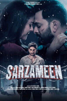 Sarzameen
